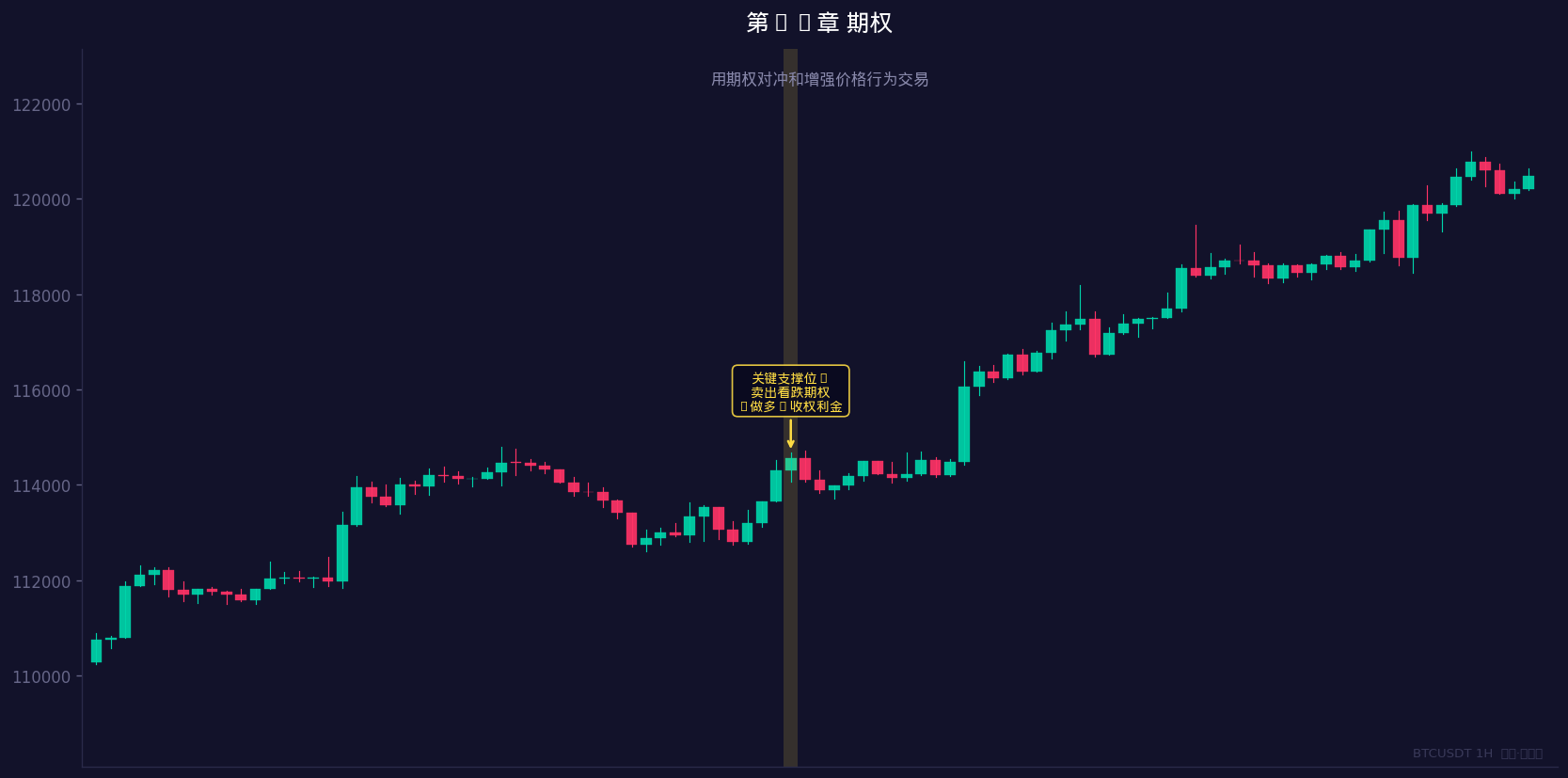 用期权对冲和增强价格行为交易